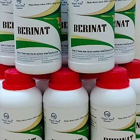BERINAT
