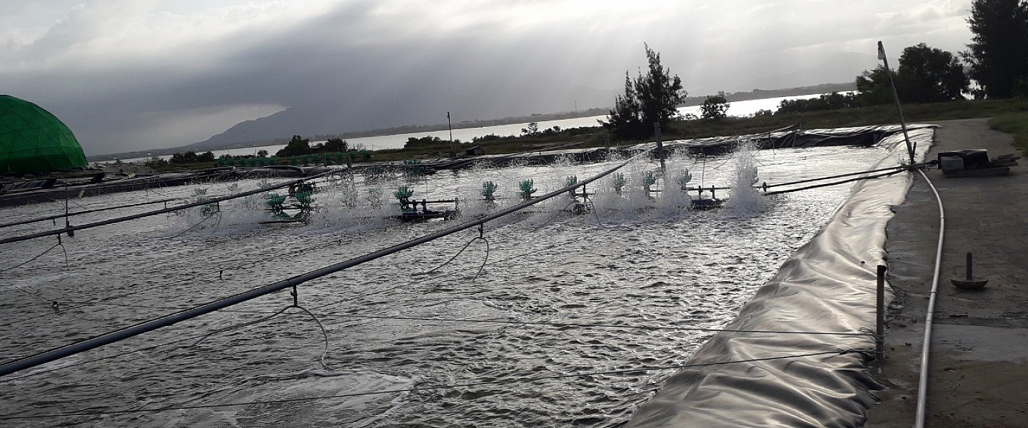 Huỳnh Trâm Aquaculture