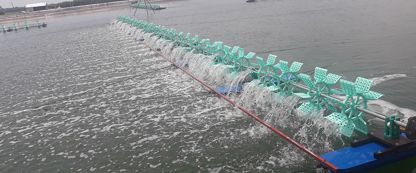 Huỳnh Trâm Aquaculture