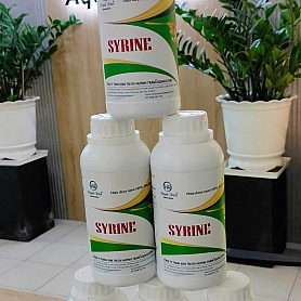 SYRINE