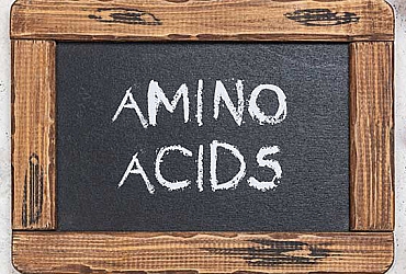 VAI TRÒ VÀ Ý NGHĨA CÁC ACID AMIN TRONG YẾN SÀO HUỲNH TRÂM