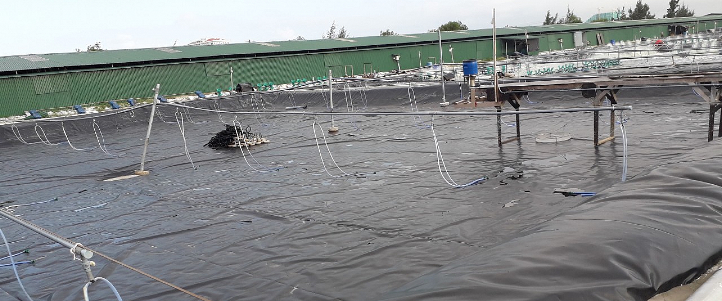 Huỳnh Trâm Aquaculture